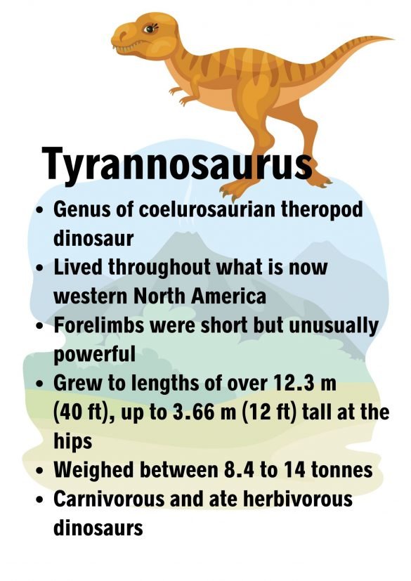 20 Fun Printable Dinosaur Activity Sheets